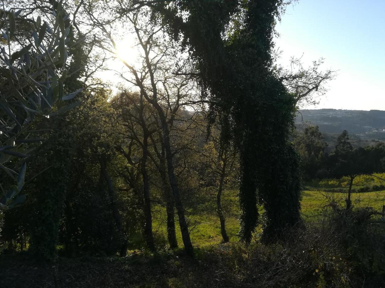 Quinta Vale Real Villa Alcobaça Exterior foto